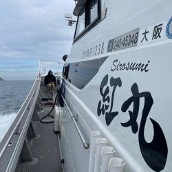 バチコンアジング