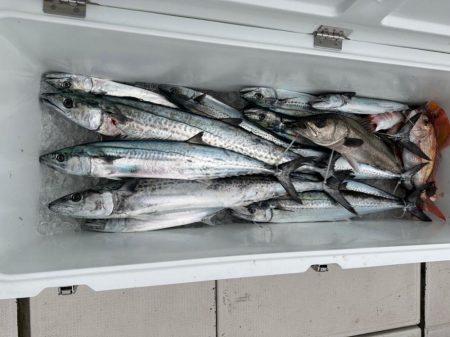 初のサワラブレードジギング