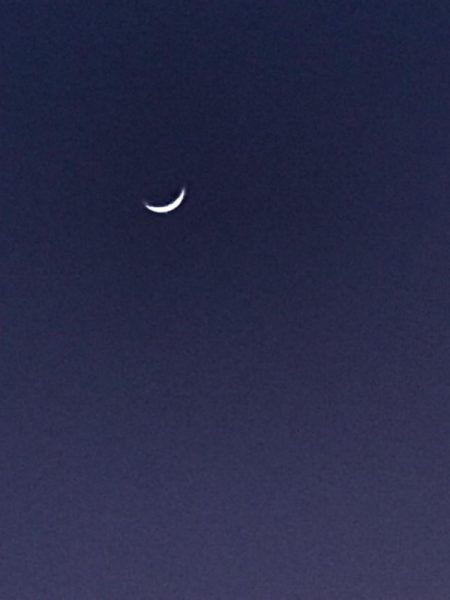 ヤリイカ激渋！