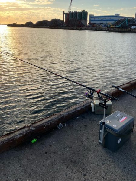 エビ撒きでハネ