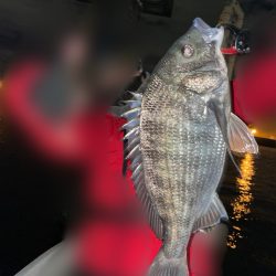 ボートチヌジギング