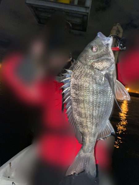 ボートチヌジギング