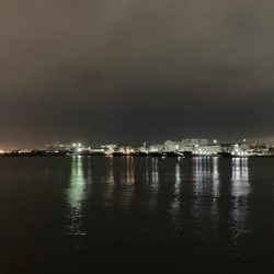 中華製ミノー絶好調！