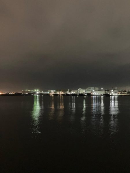 中華製ミノー絶好調！