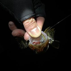 和歌山遠征😎😎