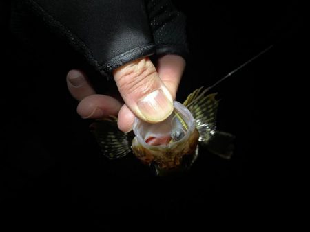 和歌山遠征😎😎