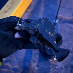 何とかライトゲーム成立の四日市