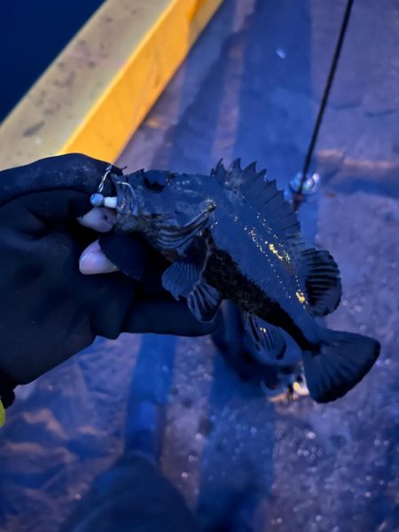 何とかライトゲーム成立の四日市