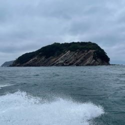 バチコンアジング