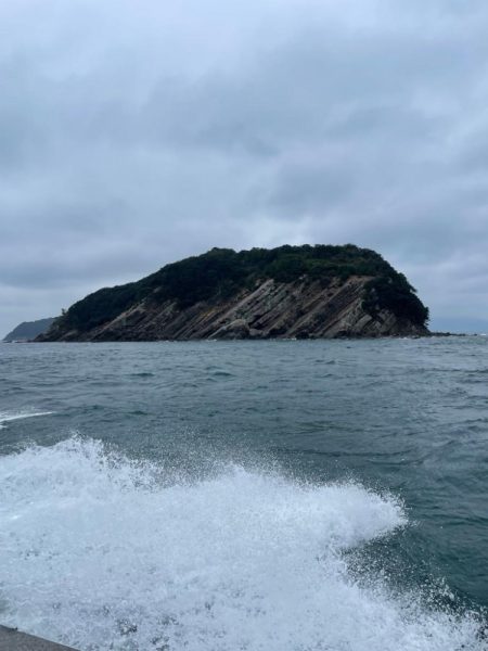 バチコンアジング