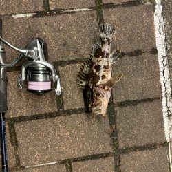 アタリはあるがなかなか乗らず