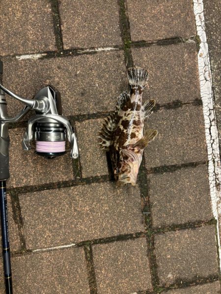 アタリはあるがなかなか乗らず