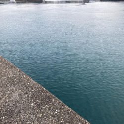 2024ライトゲーム第5戦