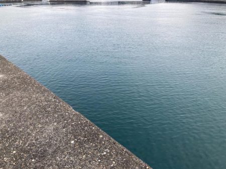 2024ライトゲーム第5戦