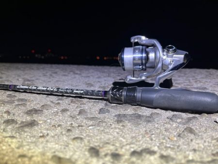 メバルは無反応！ガシラはまだ元気！！