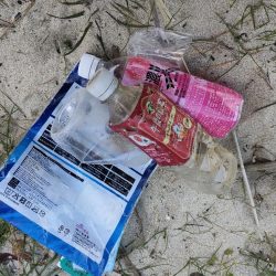 清掃活動：ショアジギング