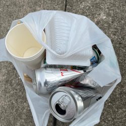 清掃活動：メバリング好調です