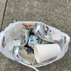 清掃活動：メバリングでおチヌさん