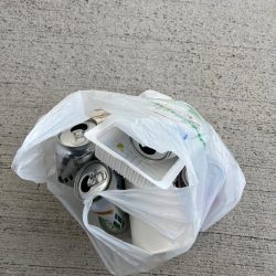 清掃活動：エビ撒きで魚の活性高いです