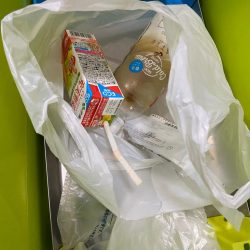 清掃活動：高級魚ゲット