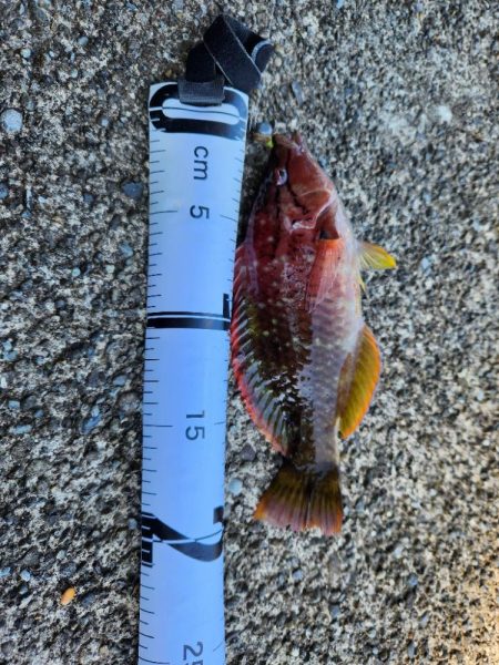 久しぶりの投稿