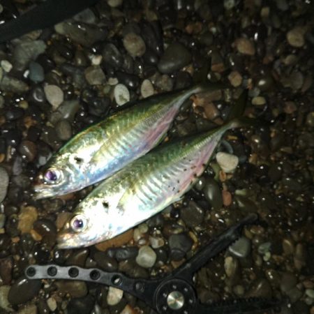 フロートゲーム～