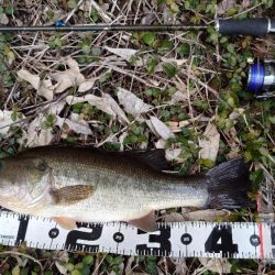 重ヘッドワッキー!