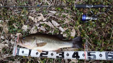 重ヘッドワッキー！