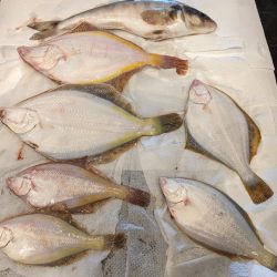 兜千畳敷でカレイ大漁！！ホッケも上がる！！