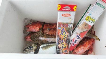 加太沖で五目便