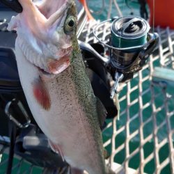 強靭と剛健を足すと…