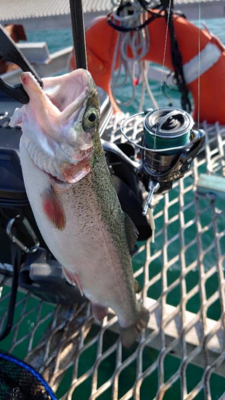 強靭と剛健を足すと…