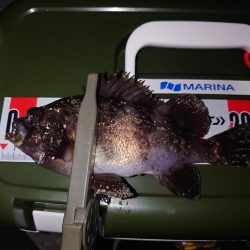 短時間メバリング