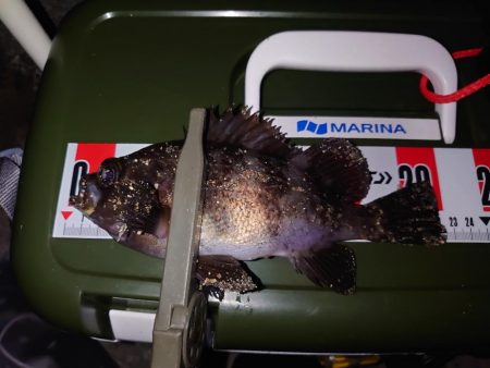 短時間メバリング