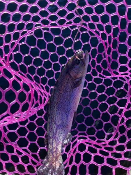 釣食浪漫 ～風は強いが活性高し！～