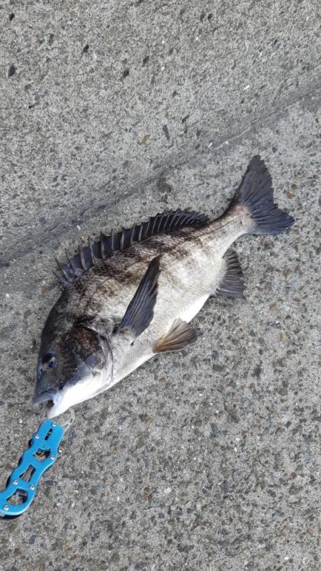 久しぶりの投稿