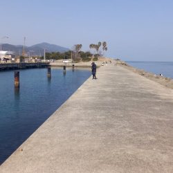 春シーズン到来です。