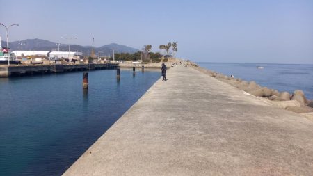 春シーズン到来です。