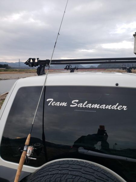 ヤマメは何処へ