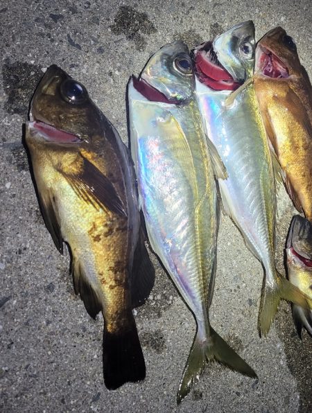 ライトゲーム、やってみました！