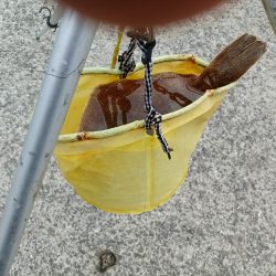 最後にドラマが