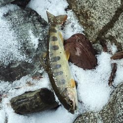 待ちに待った解禁！