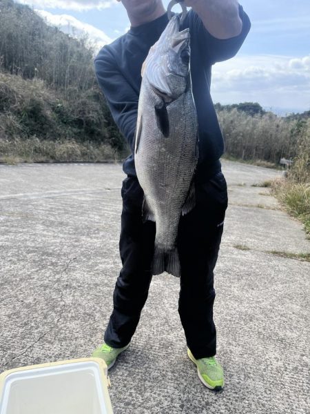 ヒラスズキ狙い