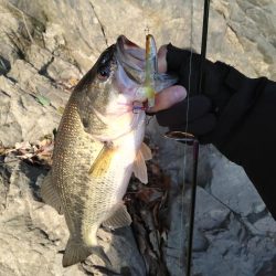 ミドストで１本