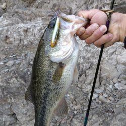 またグリマーで１本