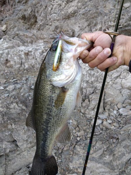 またグリマーで１本