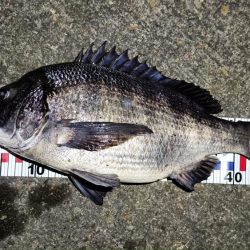 2024/03/07 南港ヘチ釣り釣行