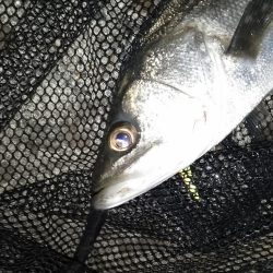 最後に何とかヒット…