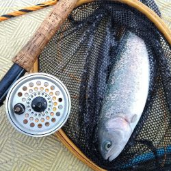 ご近所の釣り堀へ…