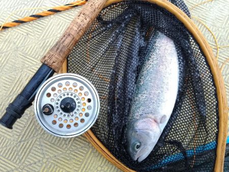 ご近所の釣り堀へ…